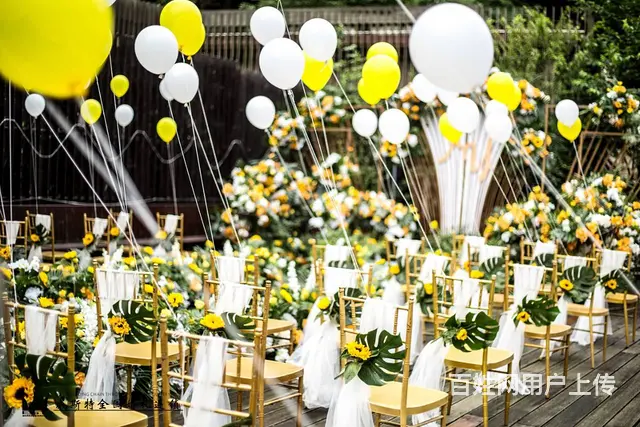 户外草坪婚礼 - 图片 2