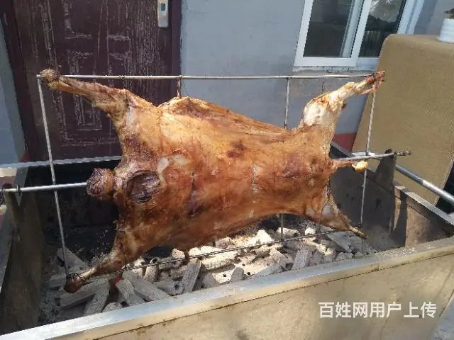 专业上门烤全羊，烧烤上门服务 - 图片 7