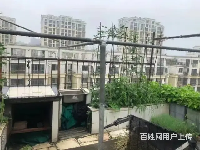 美林湖旁香树湾名苑复试 楼上楼下露台 空中花园 葡萄园 83 - 图片 3