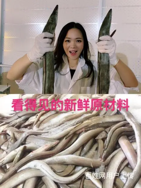 北海鳗鱼丸子马鲛鱼丸批发工厂批发 - 图片 8