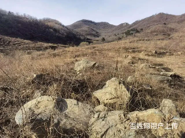 绿色大石头 - 图片 5