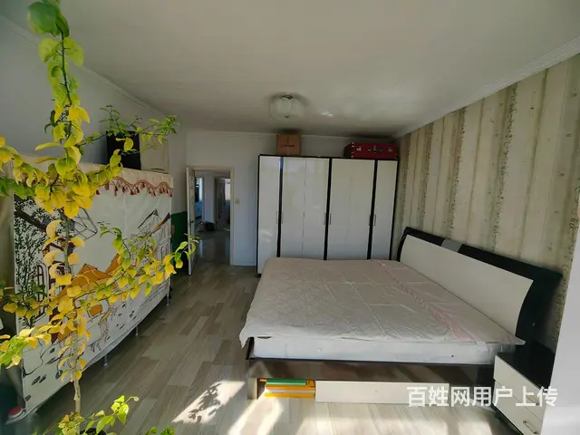 文苑小区一期，整租 - 图片 6