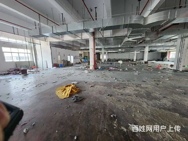高新技术产业园6400平，有喷淋，独用货梯，可纺织，形象好 - 图片 4