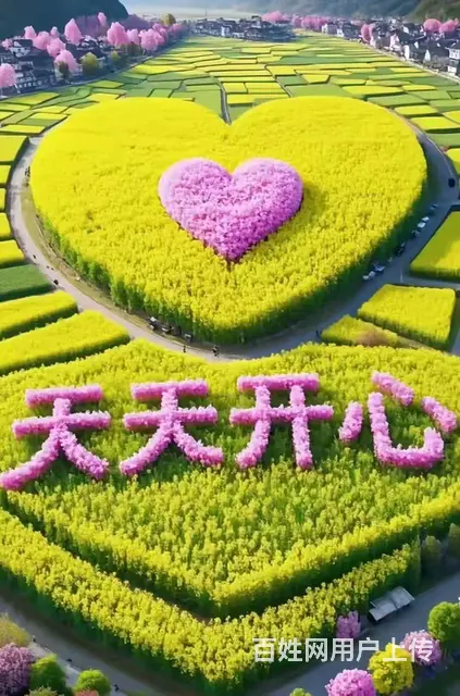 真诚征婚女76年离婚单身 - 图片