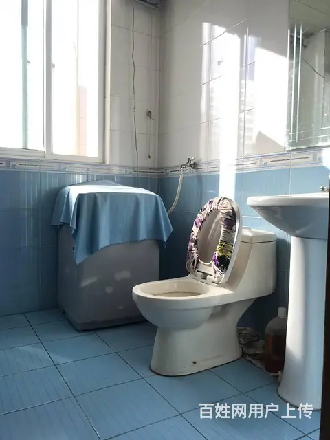 梅苑小区 普通住宅3室2厅2卫 精装修 - 图片 6