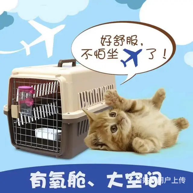 安顺宠物托运{猫狗长途搬家}活体快速邮寄2024安全高效全国 - 图片 4
