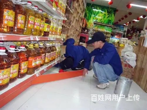 康迪虫控|专业灭鼠|杀蟑螂|除虫除蚁|上门服务 - 图片 5