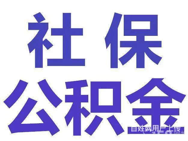 番禺、南沙区代理记账报税，代办工商年报和税务年检 - 图片 2