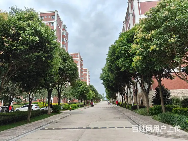 4204（爆铺网）2万人大学内旺铺转让(行业不限) - 图片 5