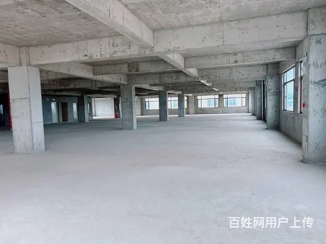 （老板本人）开福区新建标准园区厂房/仓库出租  6113 - 图片 8