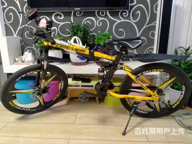 永久24速山地自行车 - 图片 1
