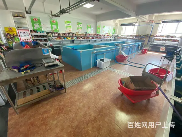 胜利路早市，刘氏活鱼水产店低价转让 - 图片 6