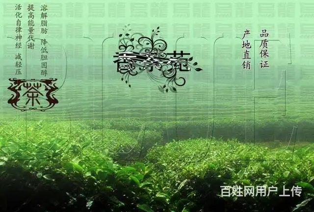 背景签到板 会议背景 形象墙 文化墙 背景墙设计 - 图片 5