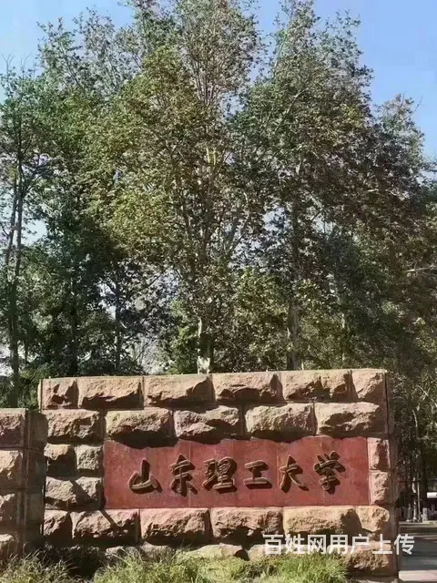2023年山东理工大学成人高考（专科、本科） - 图片 3