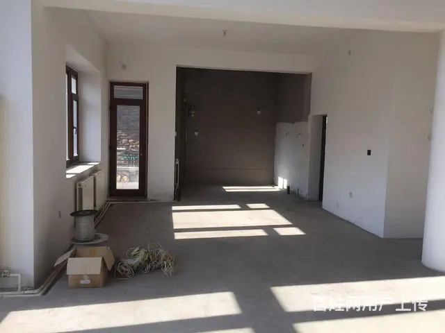 前深大院 盛和天下挑高双拼别墅 已扩建使用780米双车库 - 图片 8