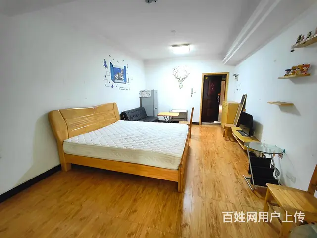 四方坪 丝茅冲地铁口 精装带燃气公寓 湘域智慧 天都华龙公馆 - 图片 3