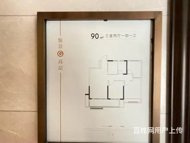 金鹏山河悦 送车位 洋房洋房 低的要命 - 图片 10