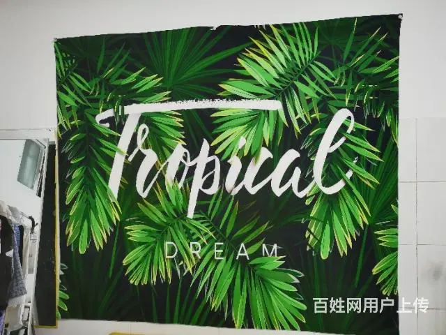 网红挂布手机支架全身镜水壶氛围灯凳子小桌子鞋架 - 图片 7