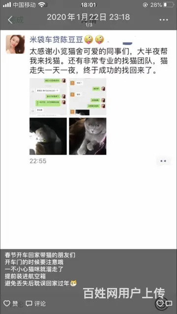 苏州猫咪丢了怎么找 专业找猫寻狗团队来帮你 - 图片 4