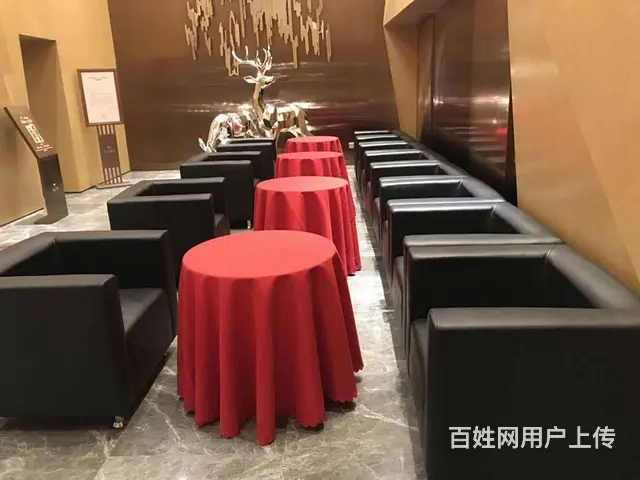 广州  海沙发租赁，高背沙发租赁，方沙发租赁 - 图片 5