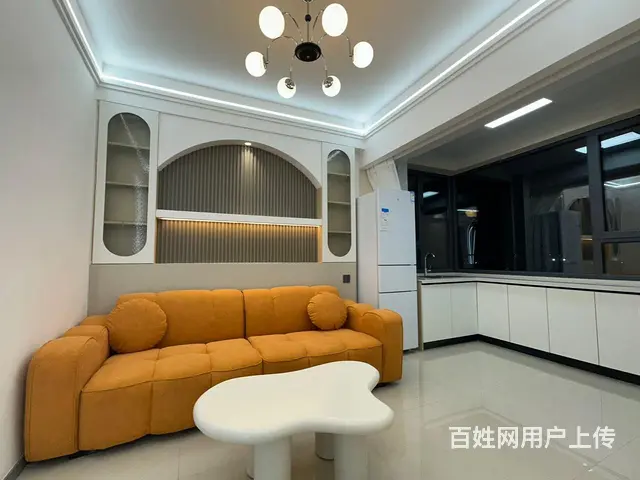 新柳城电梯10楼，精装高品质一居室，50平，独立客厅，独立厨 - 图片 2