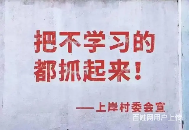诸暨哪有考研培训-考研管理类联考的专业有哪些 - 图片
