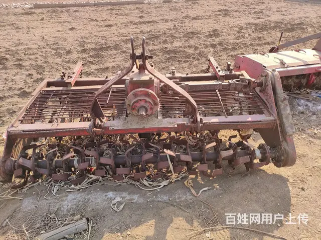 连云港三垄双旋 - 图片 1