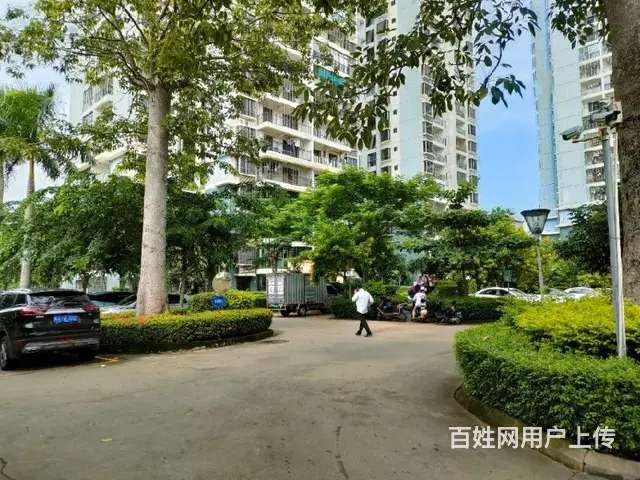 新大洲大道    儒俊雅苑3房 - 图片 10
