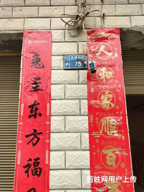 九成新榨油机甩卖 - 图片 3