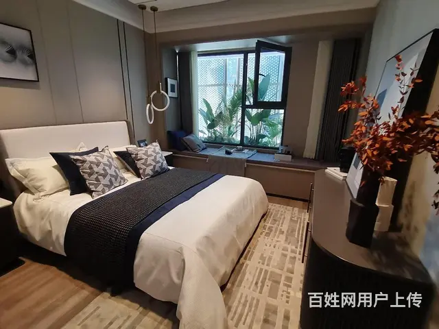 阳明府学旁！金鹏林溪书院！苏滁外国语！城东配套成熟核心位置 - 图片 11