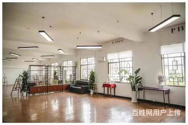 枫林三路10000平商业办公楼，学校，电商，创业基地优价出租 - 图片 11