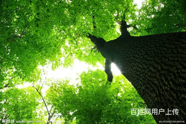 河南水利二资质代办转让，河南消防智能化一级资质转让 - 图片 1