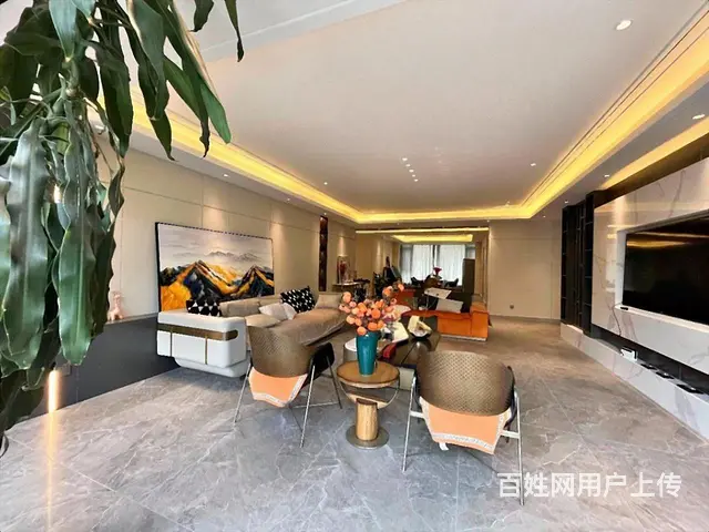 王 府井观复国际 323大平墅 500W精装 带有花园地下室 - 图片 3