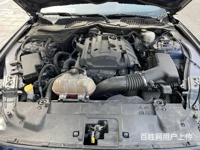 福特Mustang [野马] 2018款 2.3T 手自一体 - 图片 8