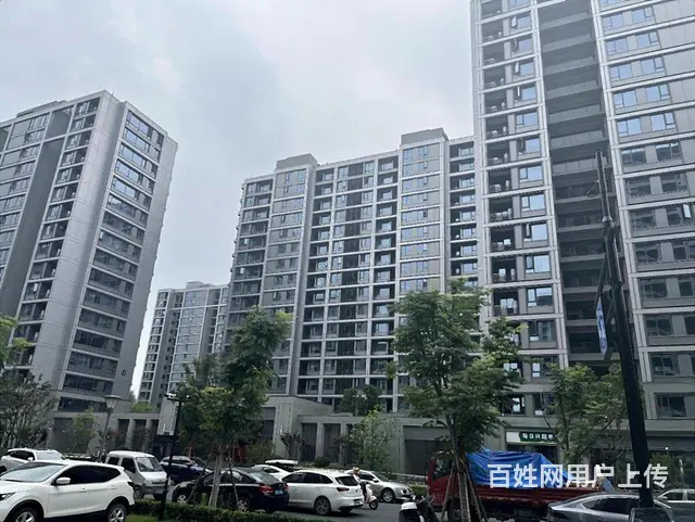 繁华地段未来科技城菜鸟对面！精装亏本急卖！三房二卫！随时看房 - 图片 9