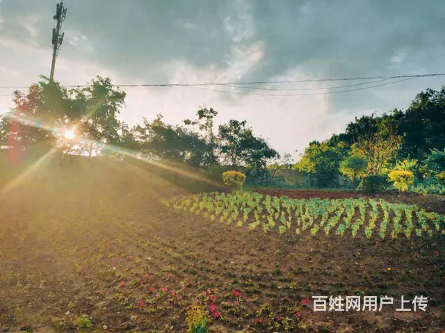 鑫诺民宿，宽带，空调，冰箱，洗衣机，热水器，可押一付一可短租 - 图片 12