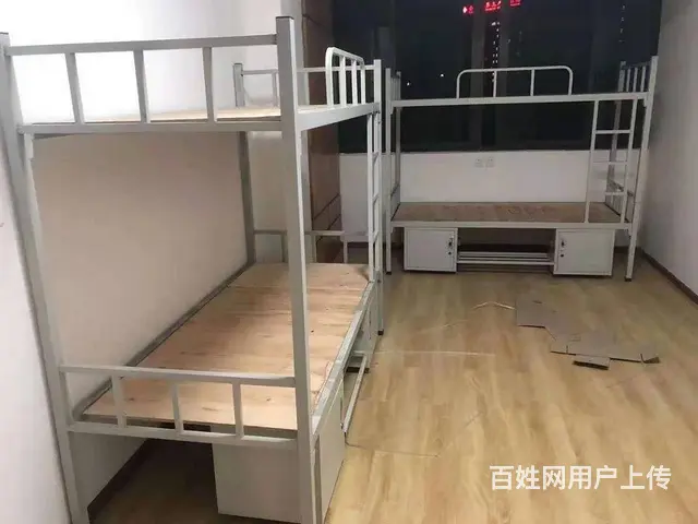 特价高低床 双层床 学生床 定制公寓床上下床 - 图片 1