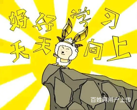 徐州五年制专转本周末暑假全日制零基础辅导班通过率高 - 图片