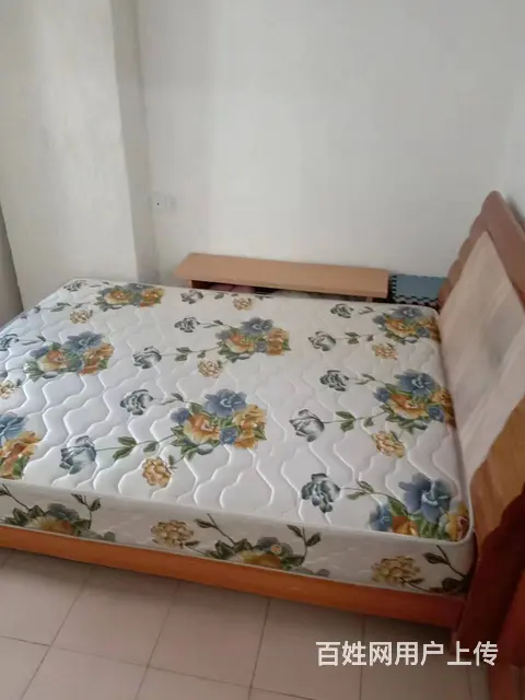 【搞定了！】霞山旧四中综合市场附近有两房一厅框架靓房出租，房 - 图片 2