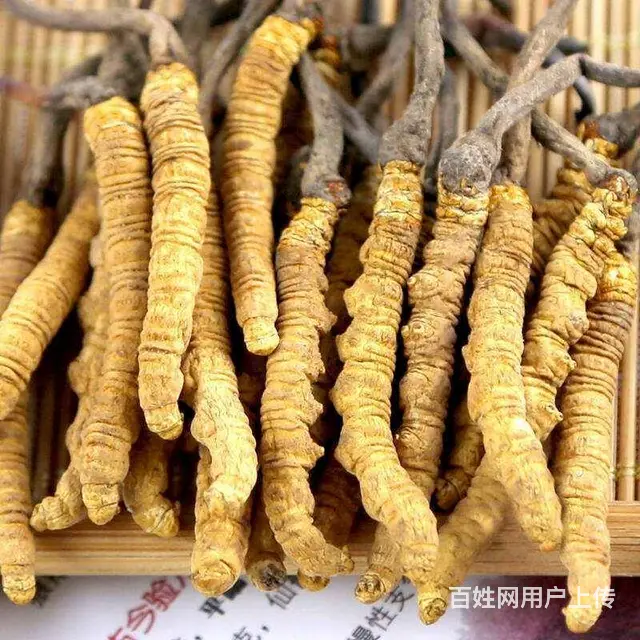 青岛回收冬虫夏草一览一览表全国服务 - 图片 2