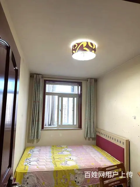 南洪街2室1厅4楼精装修首租 - 图片 3