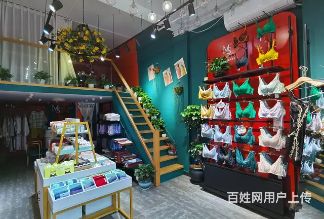 PZJ30649临街内衣店服饰店女士内衣店空转无转让费 - 图片 3