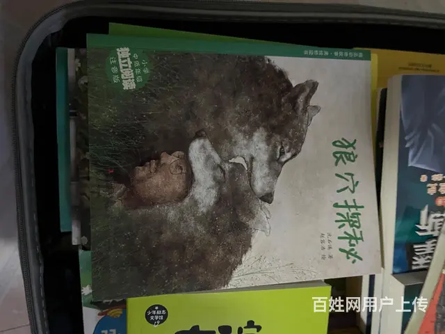 儿童图书 - 图片 5