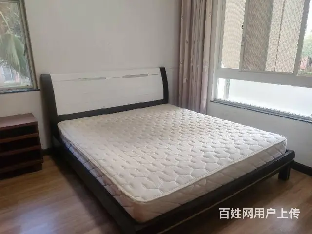 四季华庭2期电梯房1房1厅 - 图片 6