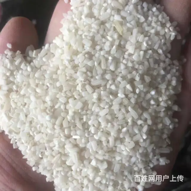 缅甸碎米|杜卡碎米 A1-2 B1-2碎米 硬碎米 - 图片 2