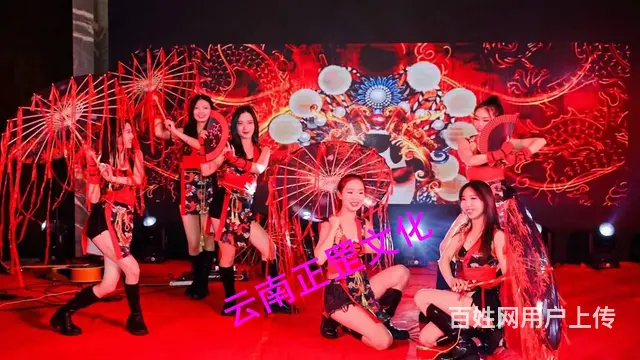 会议展会、舞美搭建、灯光音响、LED屏、演出表演 - 图片 5