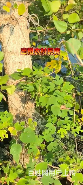 送给有缘人住 - 图片 2