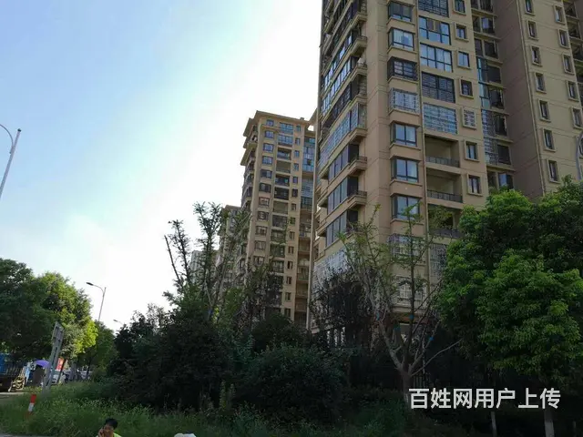 三房，三房西阆苑精装满两年，无遮挡随时看房 - 图片 11