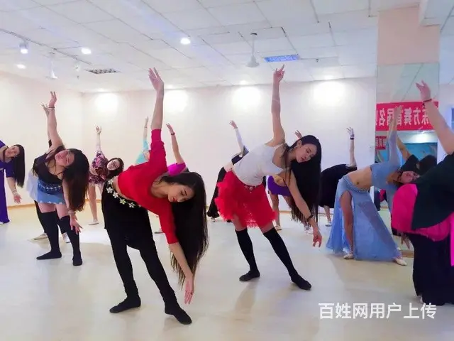 0基础培训肚皮舞教练 - 图片 8