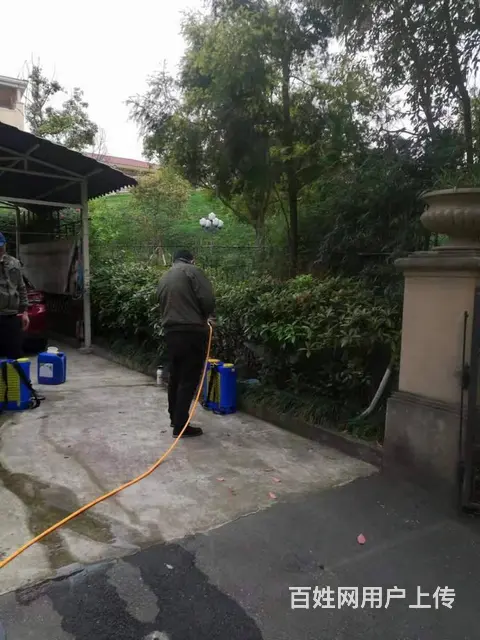 营山酒楼灭白蚁价格 营山白蚁防治除四害电话 - 图片 5